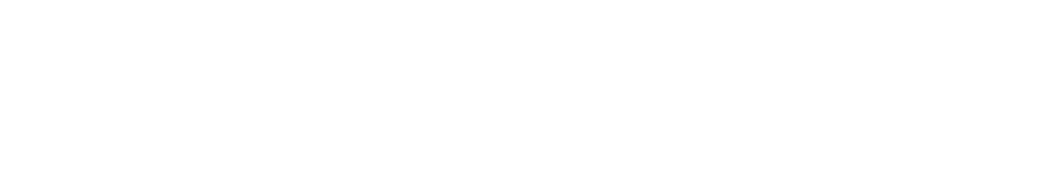 Dr. Schein — Medicina Interna e Nefrologia
